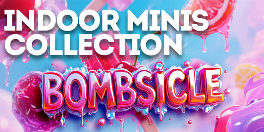 Indoor Minis Collection: Bombsicle - Sweet Focus, Happy Energy