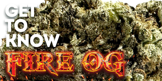 🔥 Get to Know Your Budd: Fire OG – Where OG Roots Run Deep