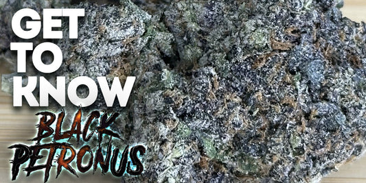 Get To Know Your Budd: Black Petronus: The Premium No-Till Indica Dominator