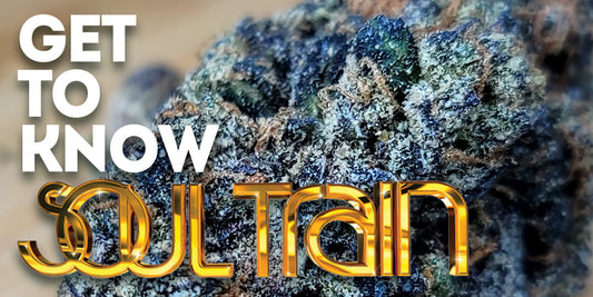 Get To Know Your Budd: Soul Train: Full Speed Flavor and Uplift