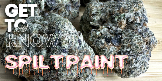 Get To Know Your Budd: Spilt Paint: A No-Till Indica Masterpiece