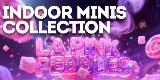 Indoor Minis Collection: LA Pink Pebbles - Fruity Euphoria Wrapped in Sweet Candy Vibes