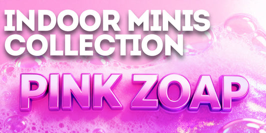 Indoor Minis Collection: Pink Zoap - Sweet Relief Meets Creative Calm