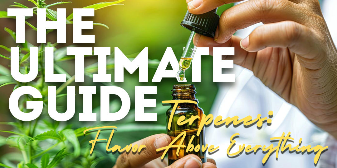 The Ultimate Terpene Guide: Flavor Above Everything