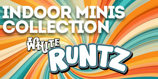 Indoor Mini Collection: White Runtz: Candy-Coated Fire with a Smooth Ride
