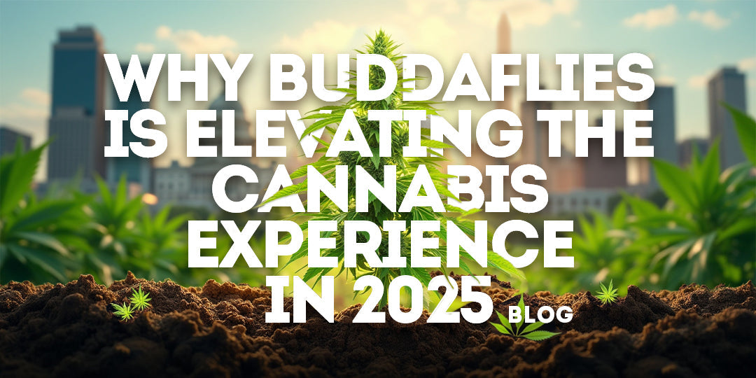 Why Buddaflies is Elevating the Cannabis Experience in 2025
