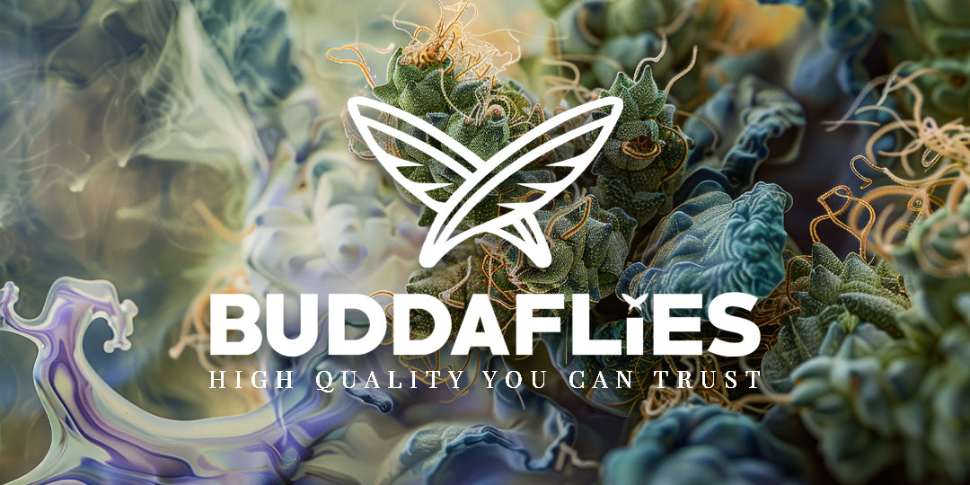Embrace the Buddaflies: A Journey with Cannabis