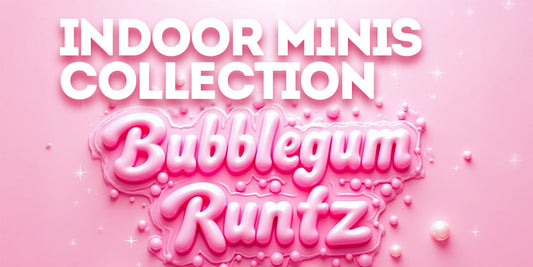 Bubblegum Runtz strain design with glossy pink bubblegum-style lettering, candy-like textures, and playful pastel visuals representing a sweet hybrid.