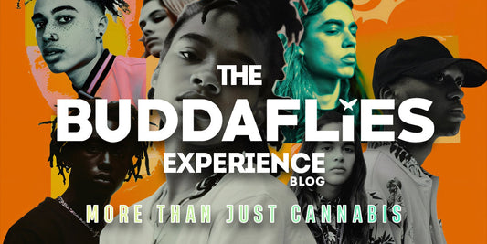 The Buddaflies Experience: More Than Just Cannabis