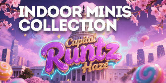 Indoor Minis Collection: 🌈 Capital Runtz Haze