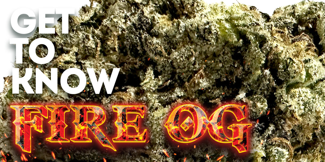 🔥 Get to Know Your Budd: Fire OG – Where OG Roots Run Deep