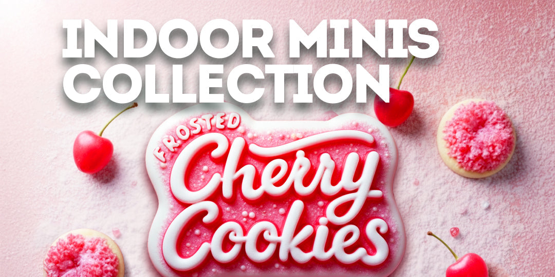 Frosted Cherry Cookies design featuring frosted cookie visuals, cherries, pink icing textures, and stylized lettering highlighting a sweet indica-forward profile.