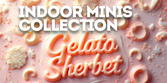 Gelato Sherbet strain artwork with creamy pink sherbet background, neon-style lettering, and soft dessert-themed visuals representing a fruity sativa-leaning hybrid.