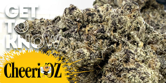 GET TO KNOW YOUR BUDD: Cheeri-OZ - Premium Craft Cannabis – Grown Using No-Till Soil