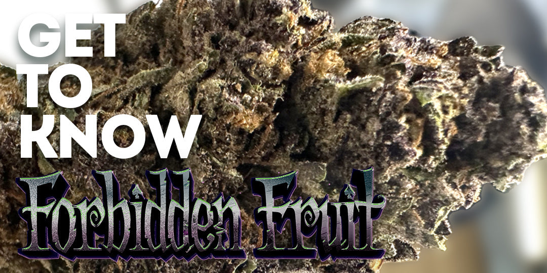 Get To Know Your Budd: Forbidden Fruit: The Taste of Temptation, Only at Buddaflies