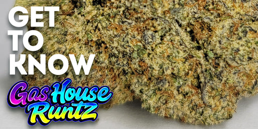 Get To Know Your Budd: Gas House Runtz: Loud, Sweet, and Ready to Ride