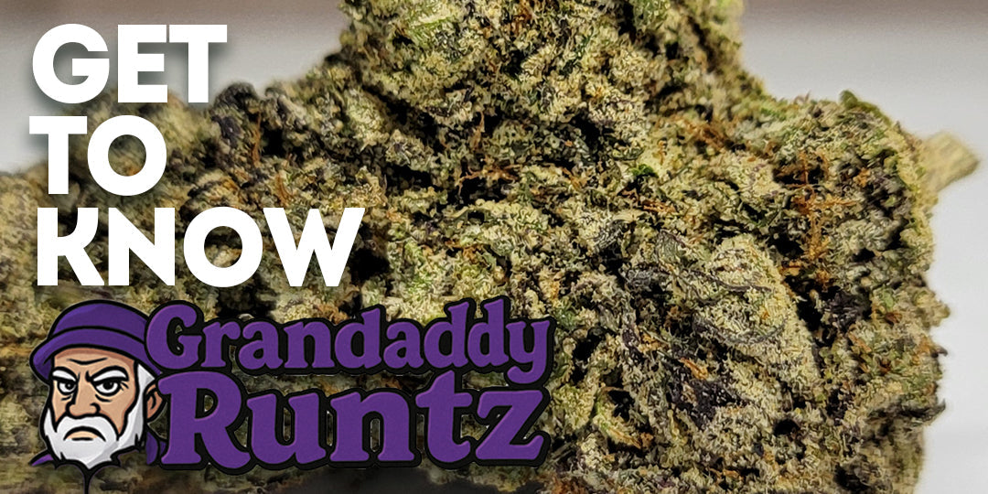Get To Know Your Budd: Meet Grandaddy Runtz A Heavy-Hitter with Heritage