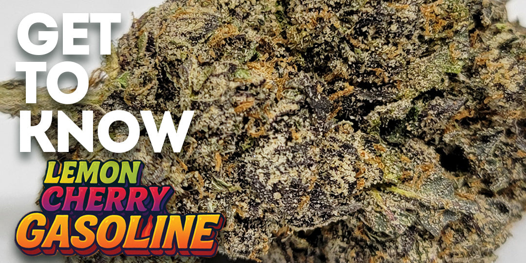 Get To Know Your Budd : Lemon Cherry Gasoline: Grown in No-Till Soil, Fueled by Fire