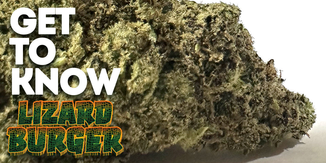 Get to know your Budd: Lizard Burger by Eugreen – A Heavy-Hitting Indica-Dominant Powerhouse