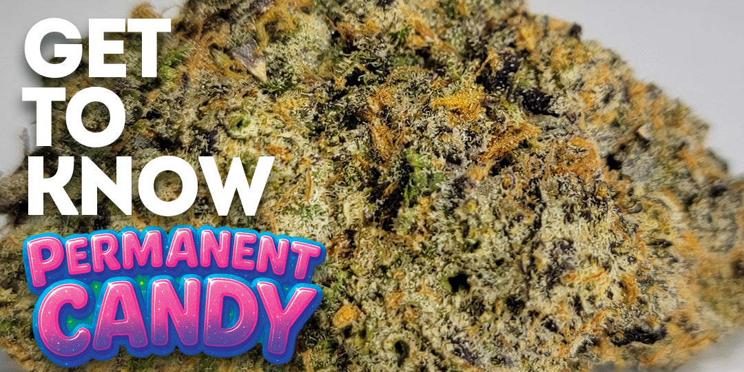Get To Know Your Budd: Permanent Candy: Sticky Sweet and Stone-Certified