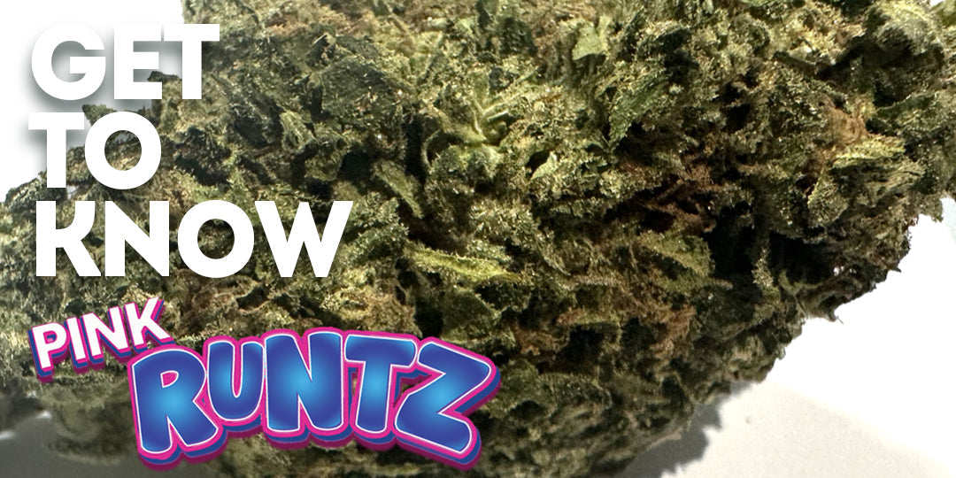 Get To Know Your Budd: Pink Runtz - High Quality Light Dep Flower