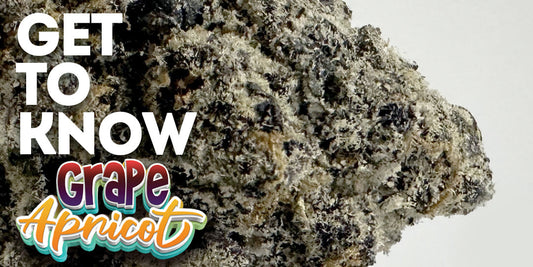 Get To Know Your Budd: Grape Apricot: Where Fruit Meets Fire