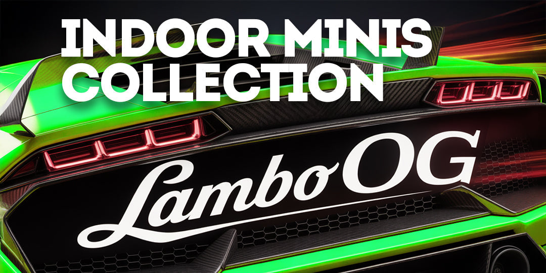 Indoor Minis Collection: 🏁 Lambo OG Keep the engine running smooth