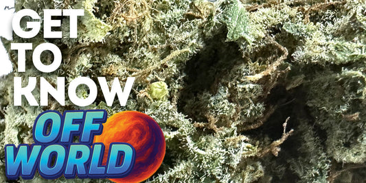 Get To Know Your Budd: 🚀 Off World: Sativa from Another Galaxy