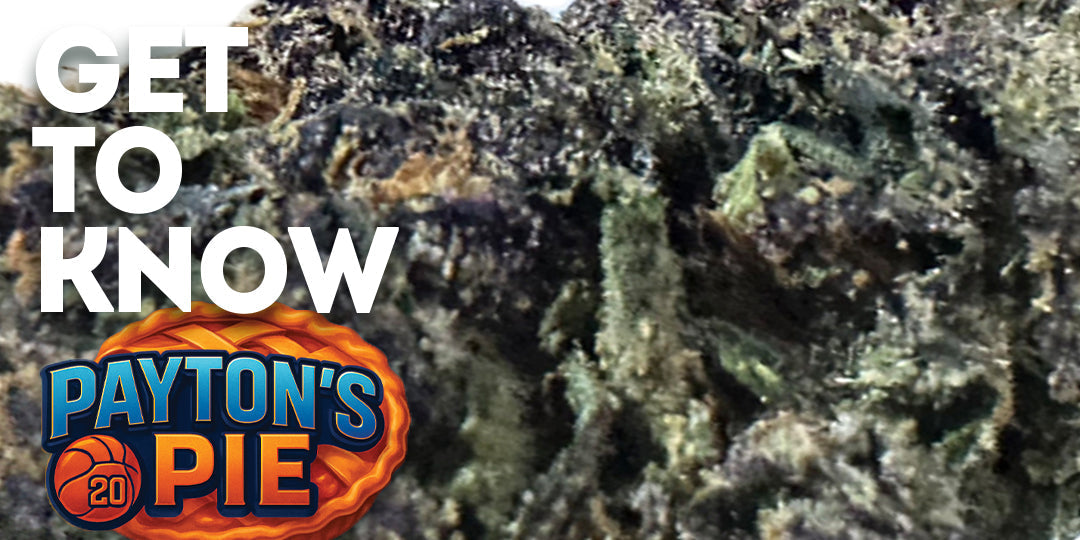 Get To Know Your Budd: 🥧 Payton’s Pie: Baked Different