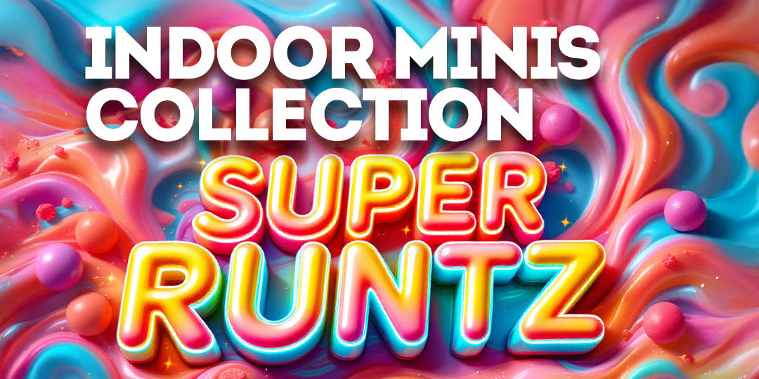 Indoor Minis Collection: Super Runtz