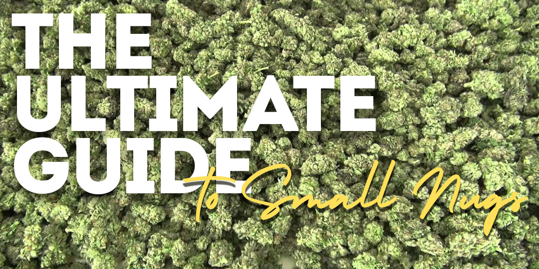 THE ULTIMATE GUIDE - What Are Small Nugs? A Guide to Understanding Cannabis Batches