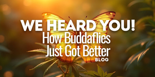 We Heard You—Here’s How Buddaflies Just Got Better