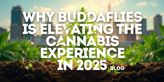 Why Buddaflies is Elevating the Cannabis Experience in 2025