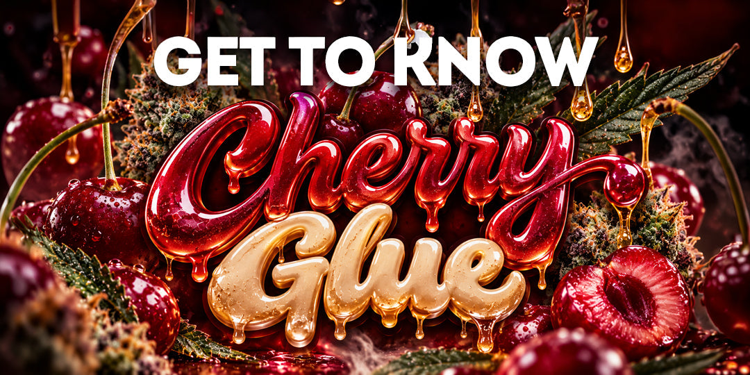 Cherry Glue: Sweet Cherry Flavor Meets Gorilla Strength