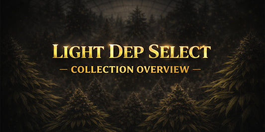 Light Dep Select — Collection Overview