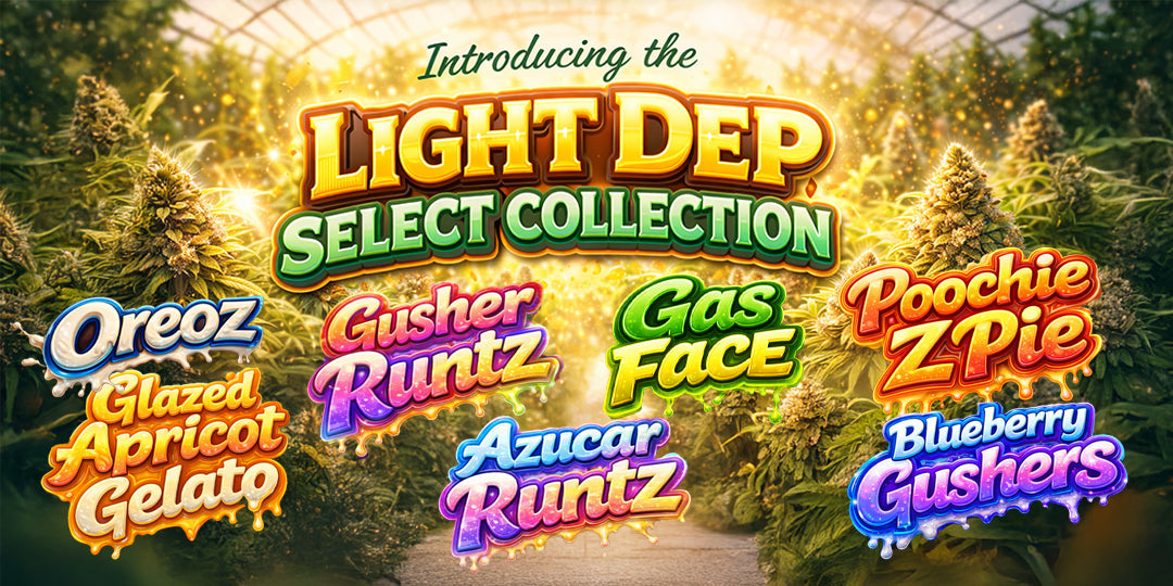Introducing the Light Dep Select Collection