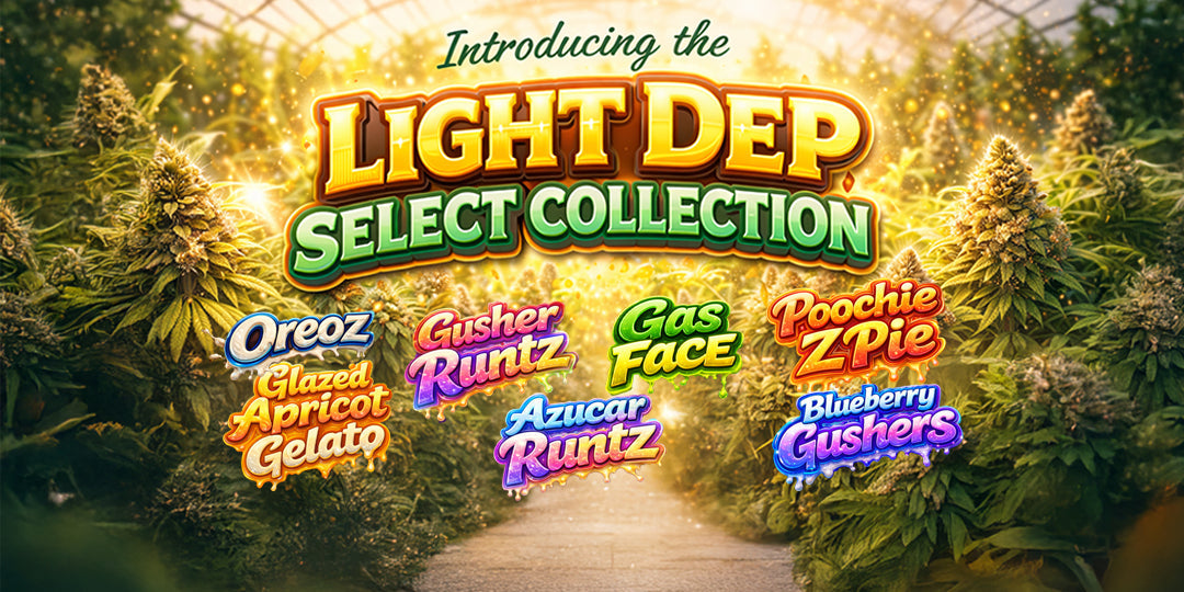 Introducing the Light Dep Select Collection