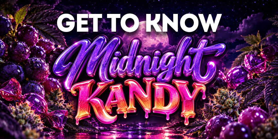 Midnight Kandy: Sweet Flavor With an Uplifting Edge